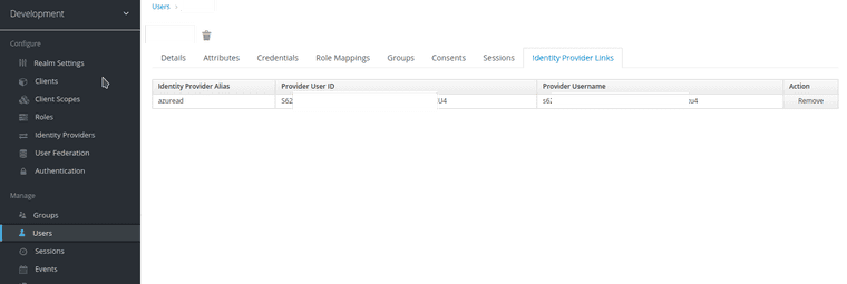 Keycloak registered user